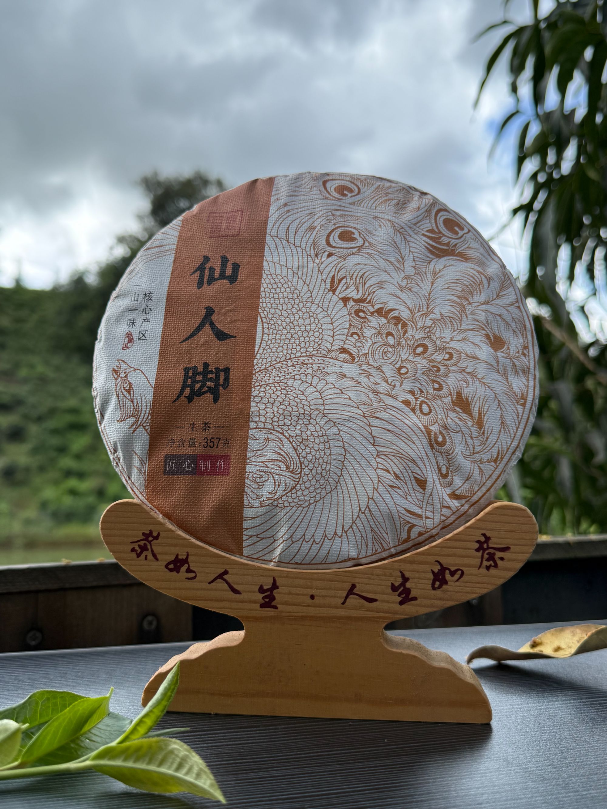 【夏山见】 2022年 仙人脚 生茶 357克   普洱茶 