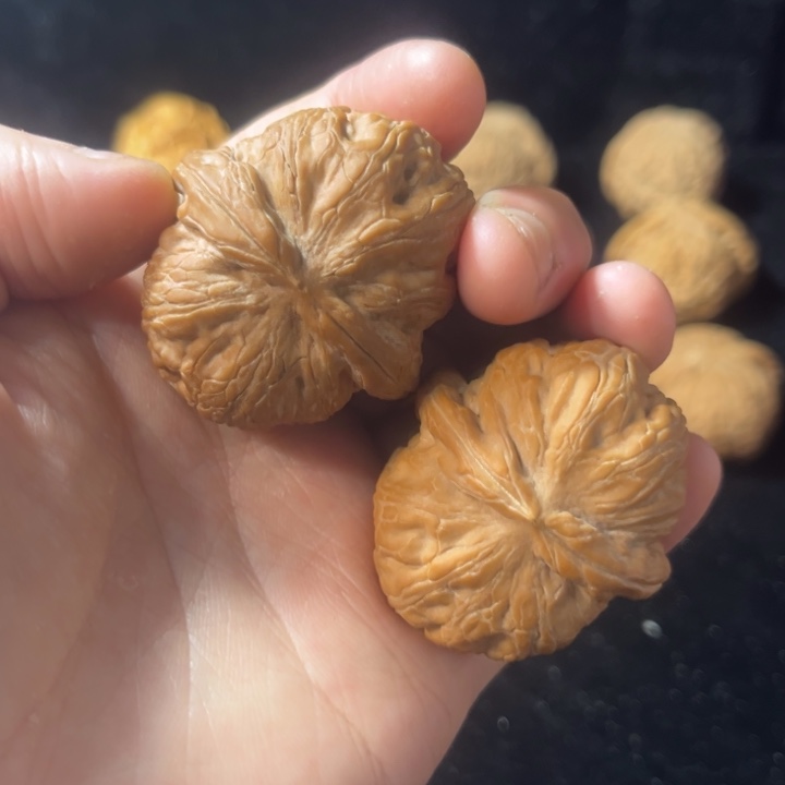 文玩核桃元宝肚43