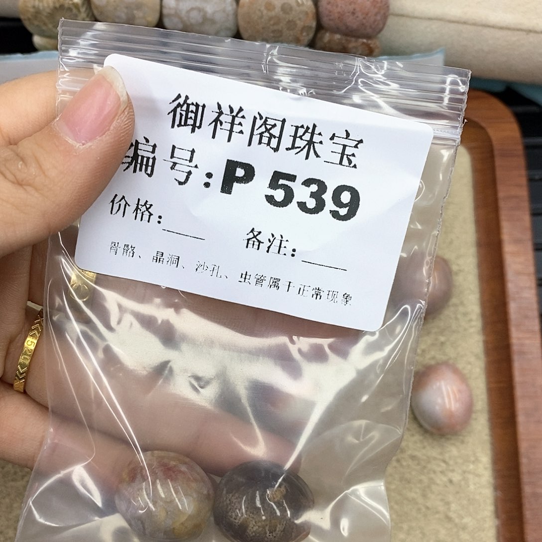 硅化珊瑚（珊瑚玉）P未镶嵌太****阳