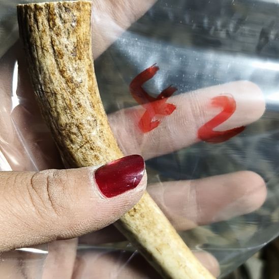 鹰***睛鹿角鹿角鹿角鹿角鹿角鹿角
