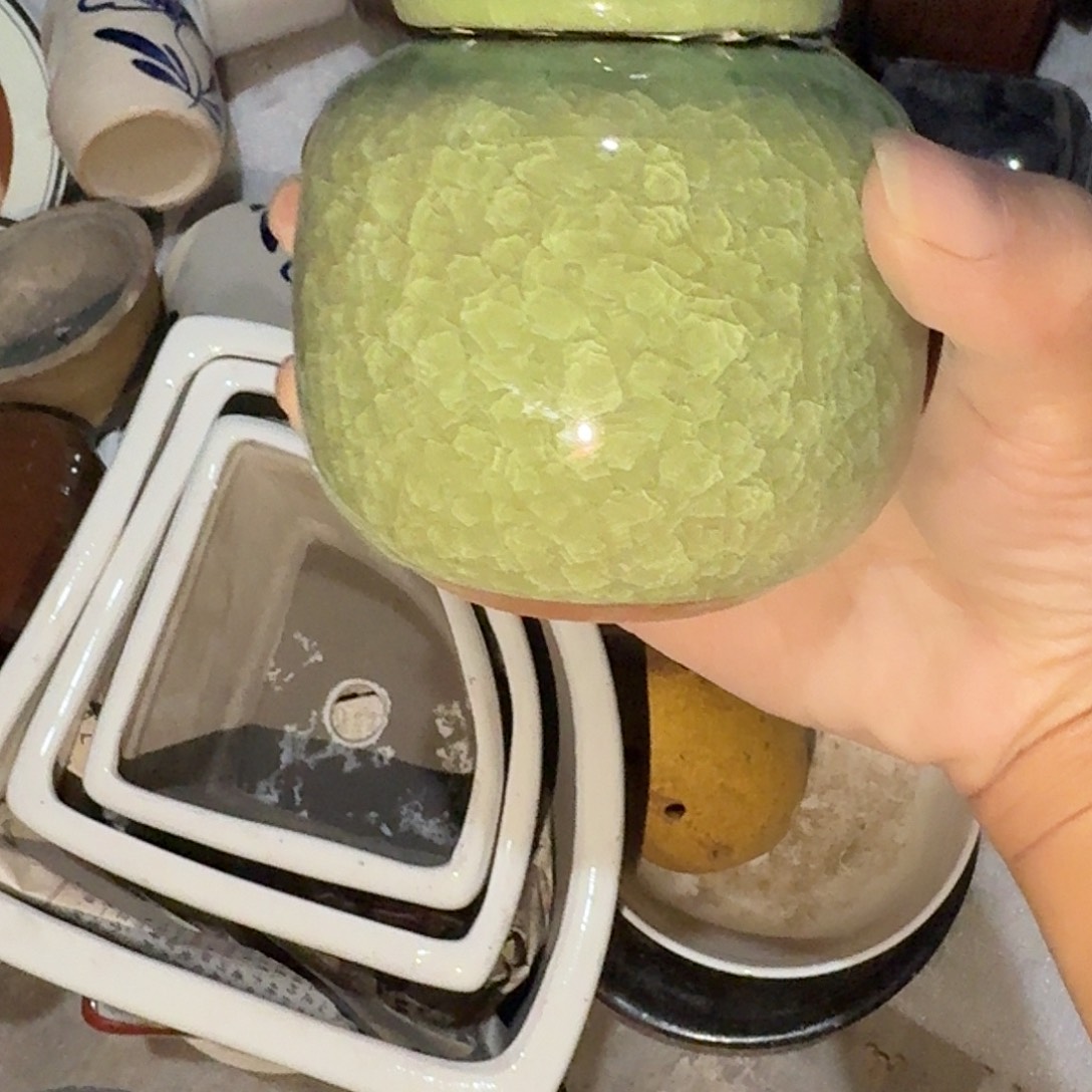 手***9老货你在哪呢你在哪里