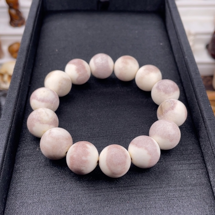 驼骨其他鹿角紫血16