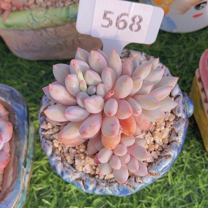 健健康康平平安安