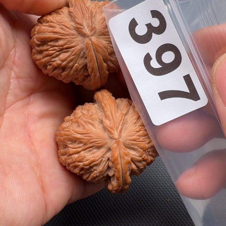 文玩核桃把件金**堂白狮41