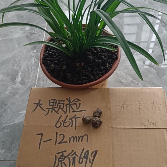 吉***缘兰菌颗粒大颗粒6.6斤