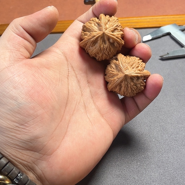 文玩核桃把件御龙粗筋