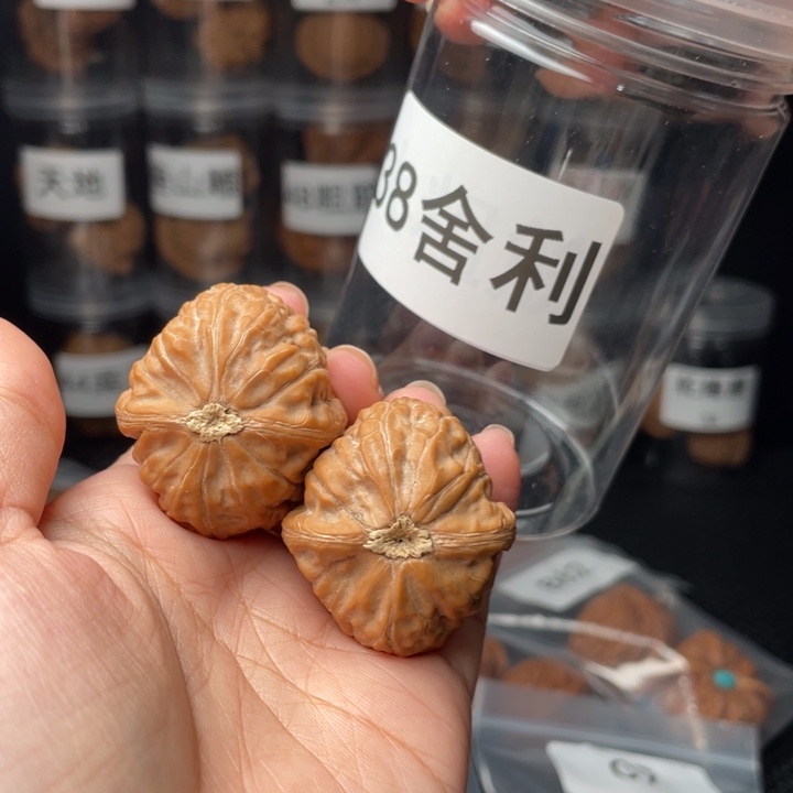 文玩核桃手串徐****志38舍利子