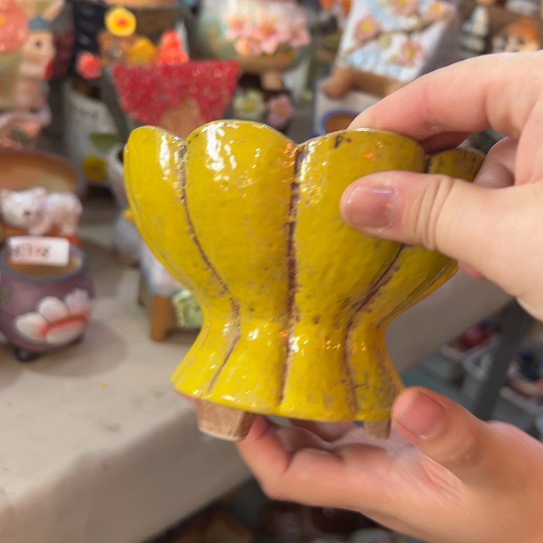 花盆，爱退款拉黑满20发货