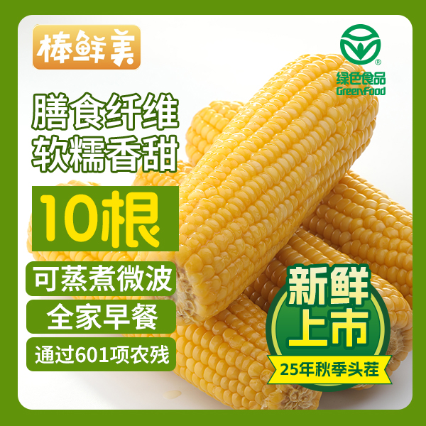 【试吃两根】25年秋季头茬东北黄糯玉米共10支6-7斤软糯香甜