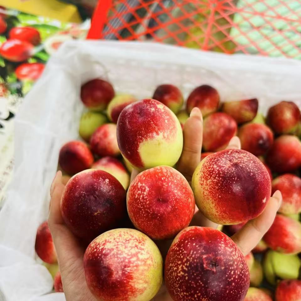 枣蜜桃 小果3斤【阿班果业】山东省当季新鲜水果桃子山东省