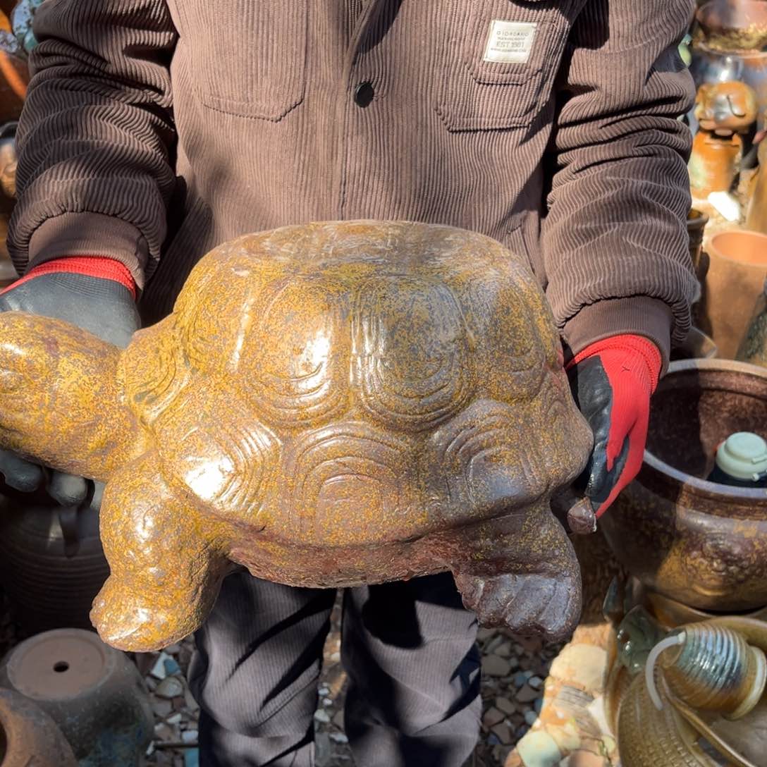 红陶高21宽42正品