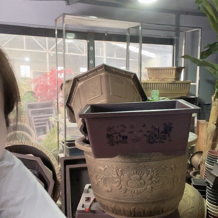 40盆景3个50圆形2个