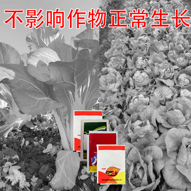 蔬菜阔叶作物不伤作物有机肥料