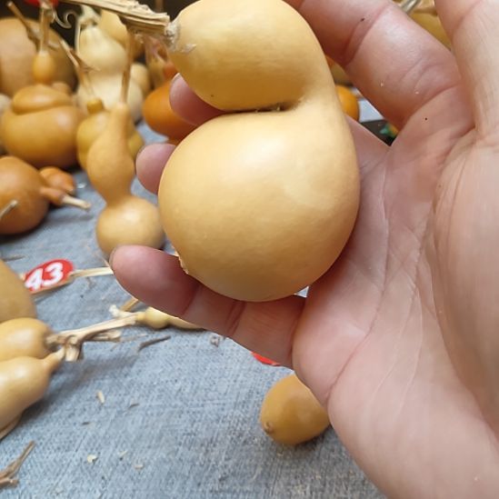 乐***吾哈喽哈喽美女你好啊美女你好啊