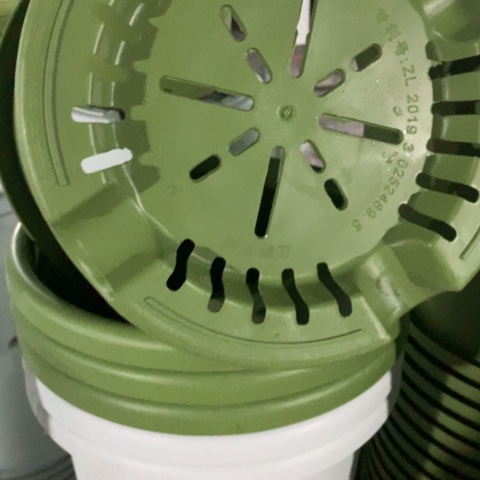 红陶25果绿无托7个