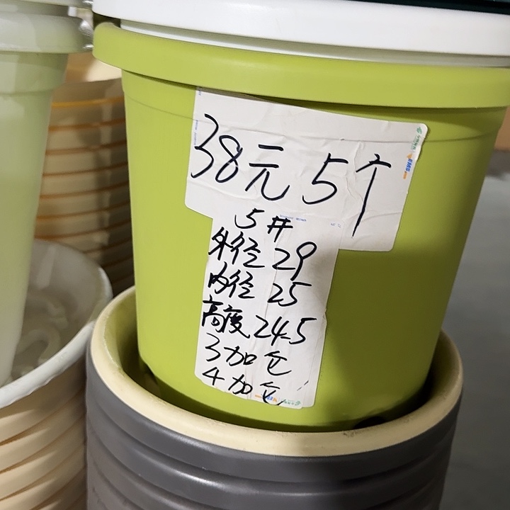 四季5号果绿无托10个特价微瑕