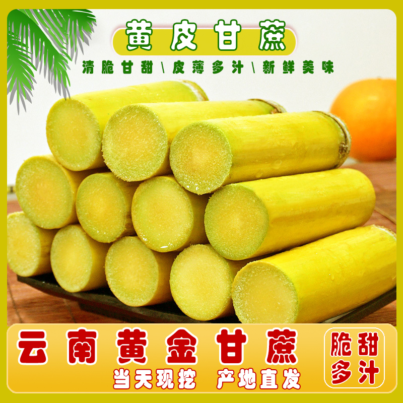 【新人福利】云南正宗黄皮甘蔗水果应季现砍直发脆皮黄金甘蔗
