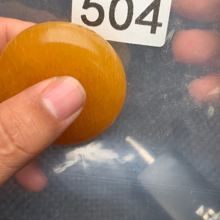 大果紫檀（缅甸花梨）