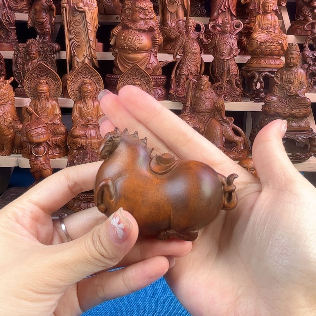 黄杨木小叶黄杨木