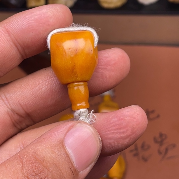 驼骨其他人工养殖