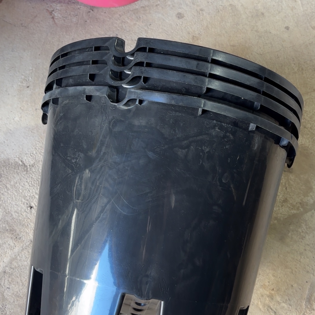 大果树盆40口径发5个