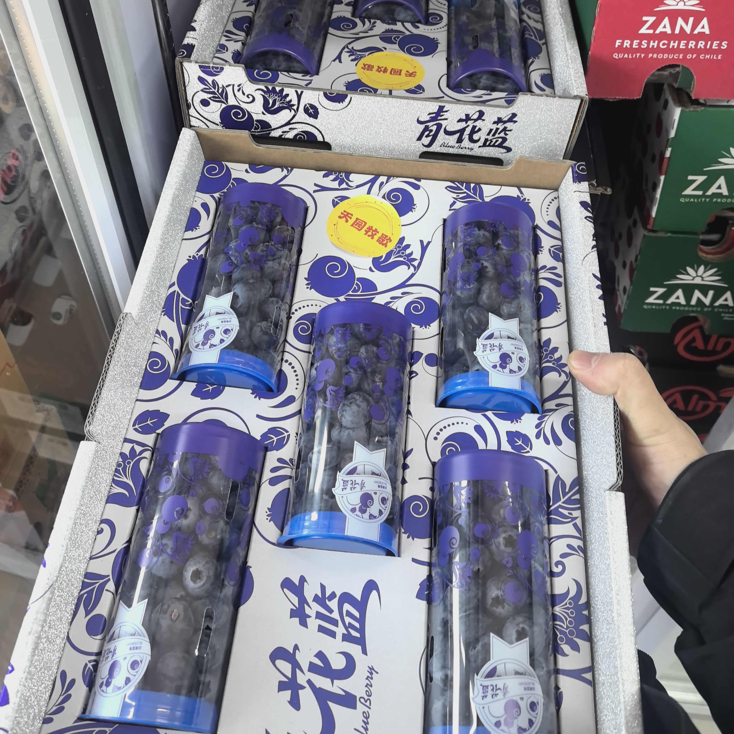 花香云南省蓝莓L25云南省