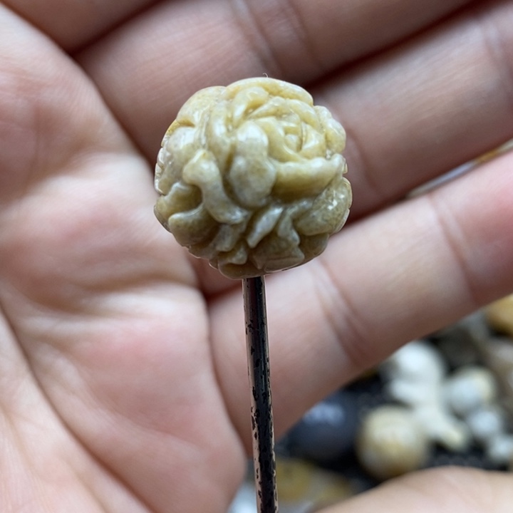 颈饰未镶嵌硅化珊瑚（珊瑚玉）