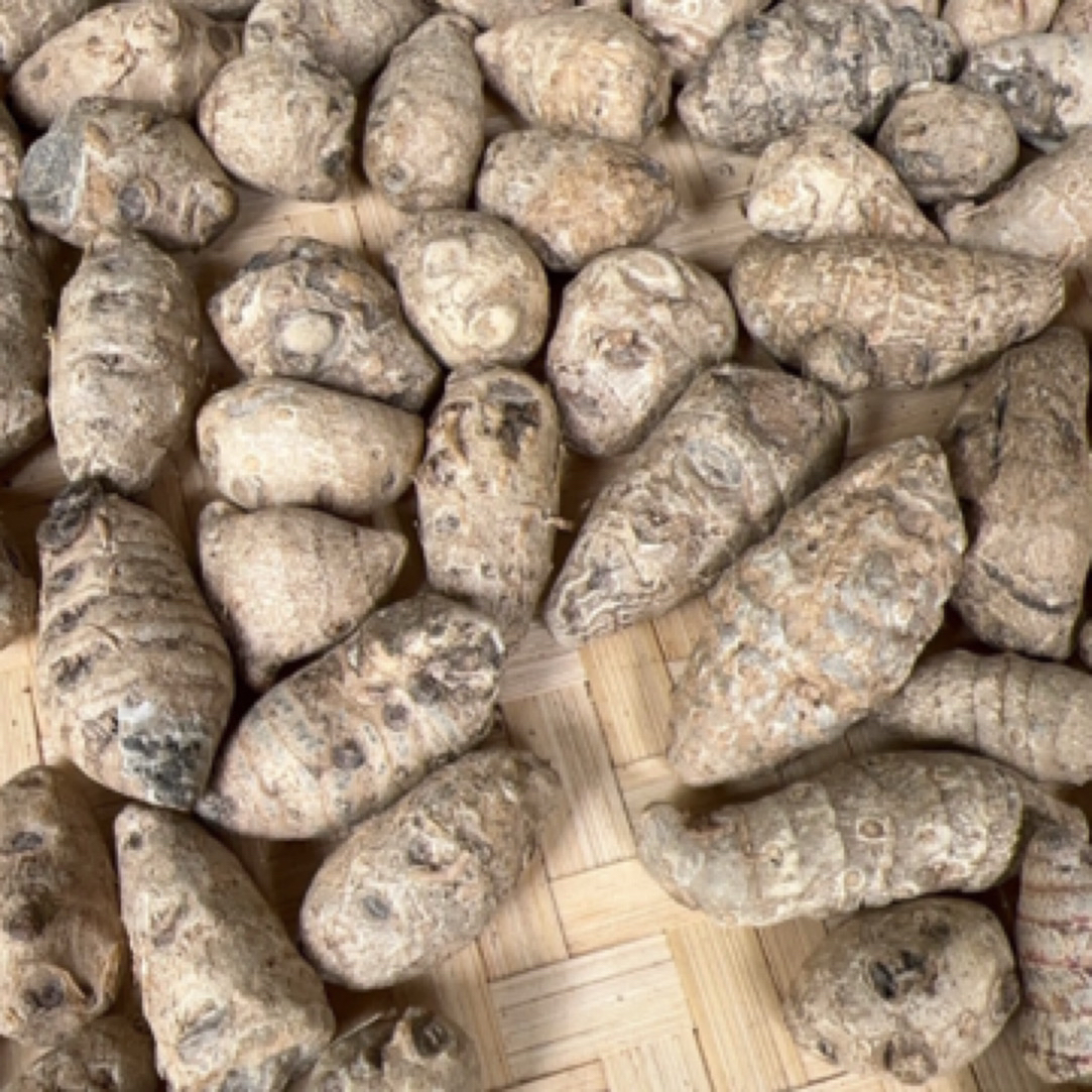 【莎莎专属土特产】雪三七菇净含量250g