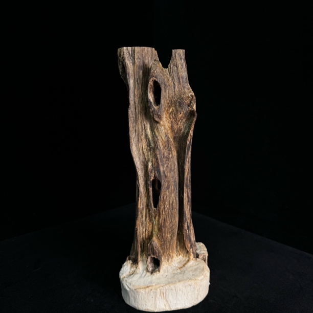 沉香【凤姐沉香】bj原材料216克多样性发货一个