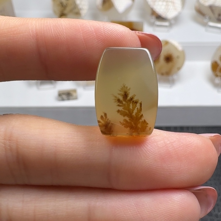 玛瑙/玉髓未镶嵌珠宝奇石