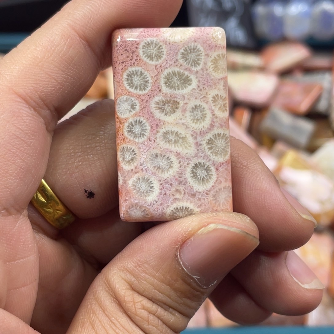 未镶嵌手镯硅化玉