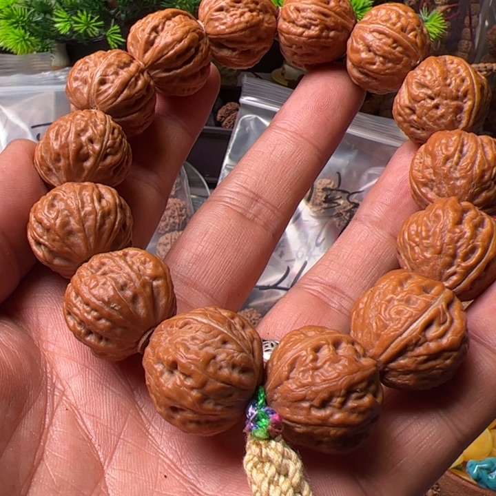 金刚菩提手串23核桃手串