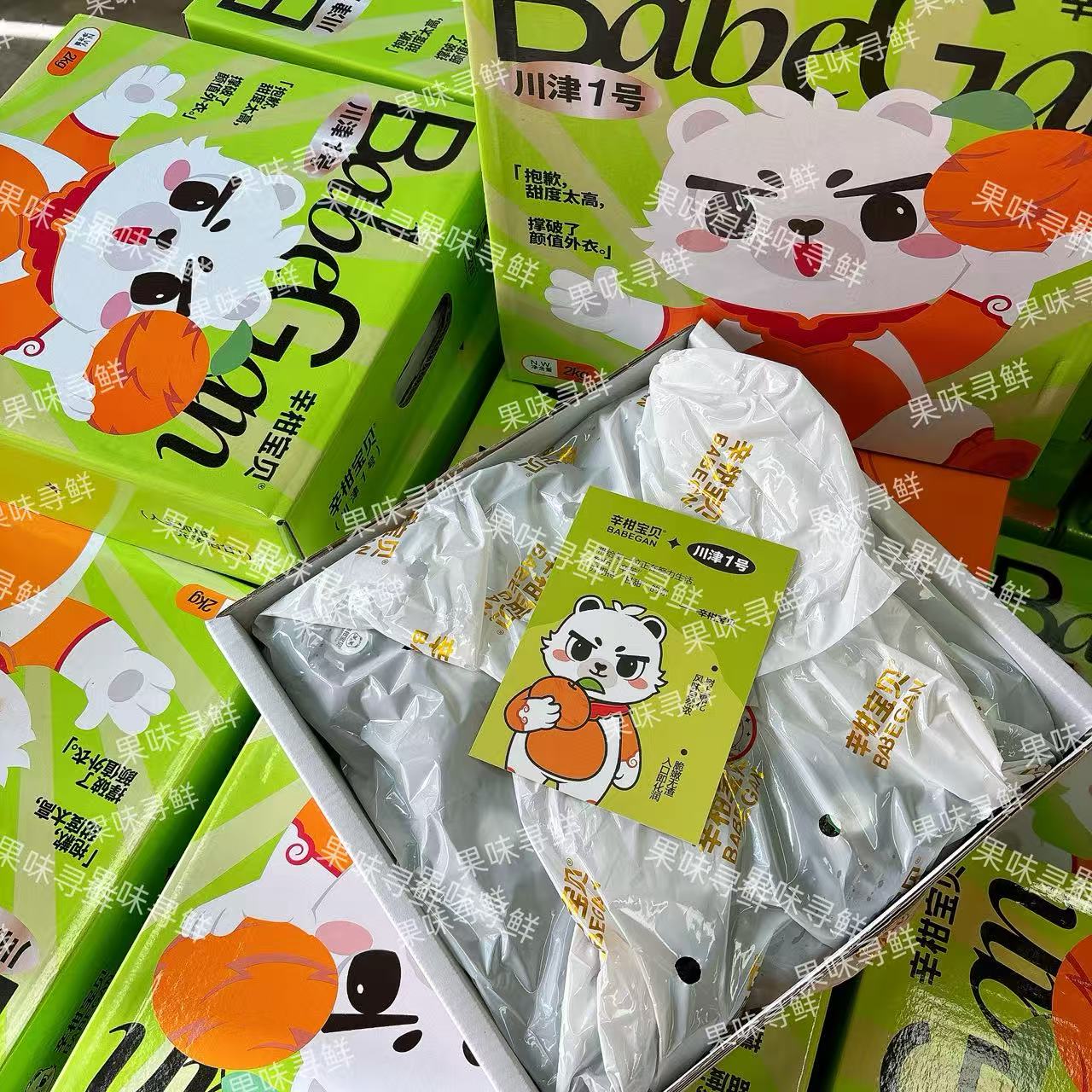 川津1号 精笃柑 净重4斤毛重5.1斤 一颗好吃的柑橘我能炫一天  