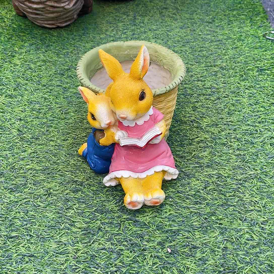 【闪购商品】红陶