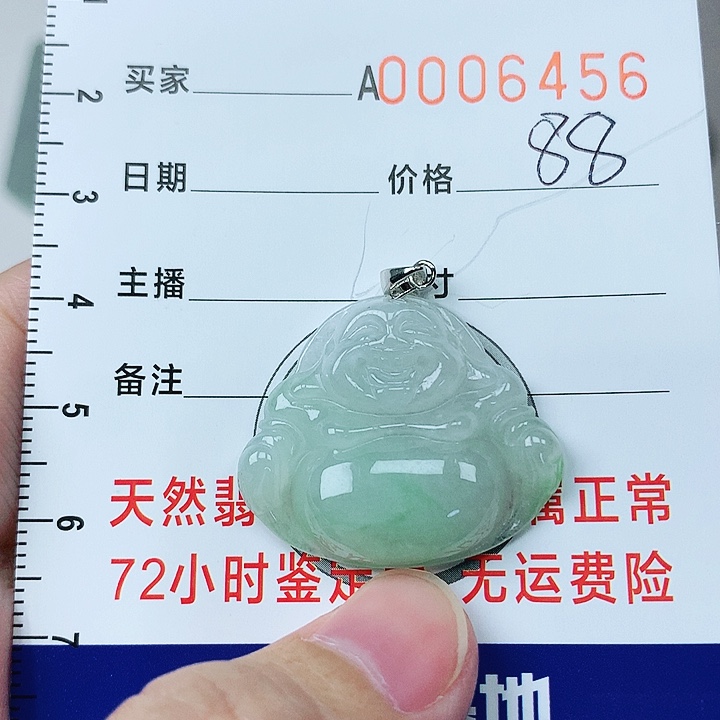 翡翠颈饰银S925镶嵌翡翠