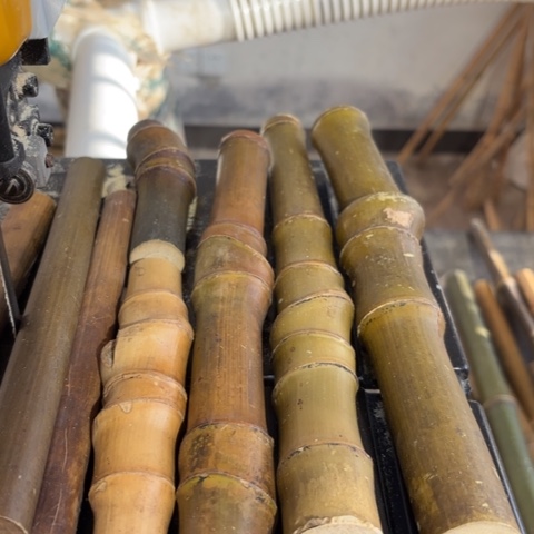 马****实心竹竹竹竹竹竹竹竹