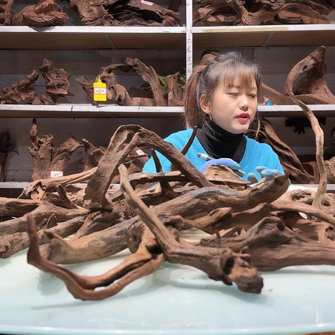 鑫品沉木不包损必褪色木***人6451-紫柚枝条