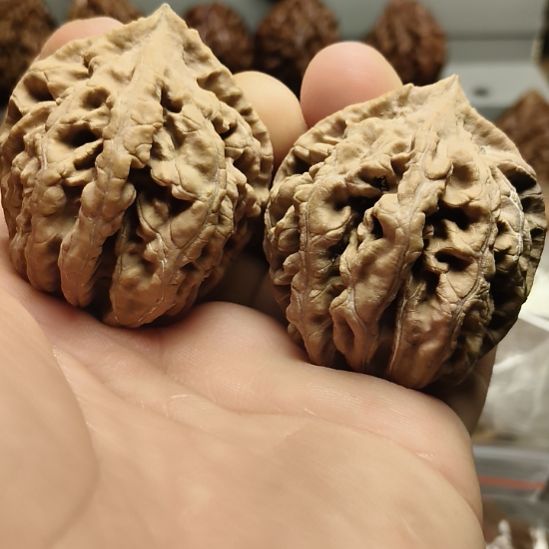 文玩核桃吊坠大楸核桃5号