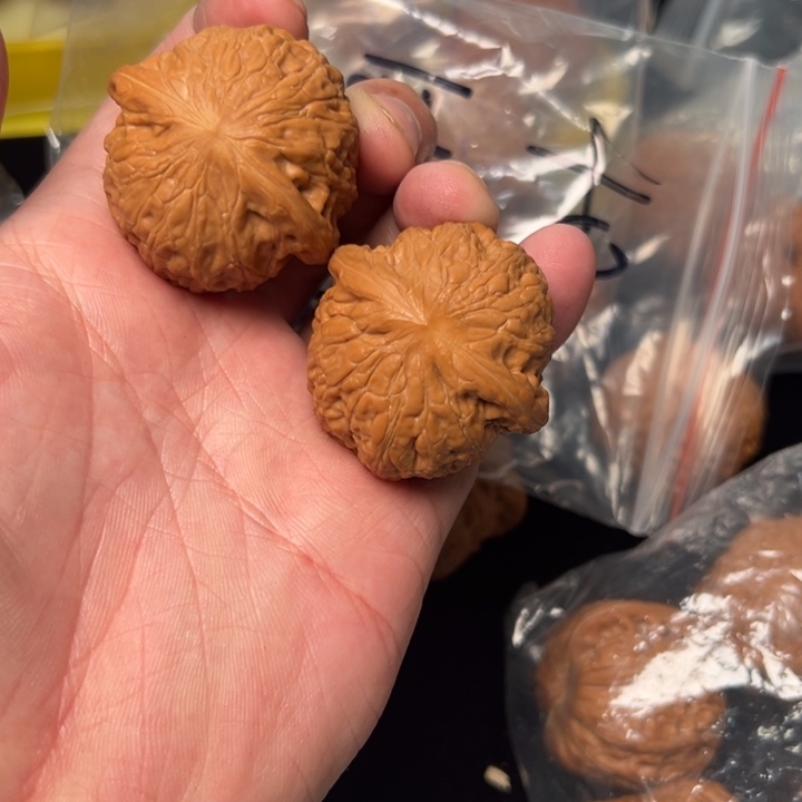 核桃40铁锤，已打底