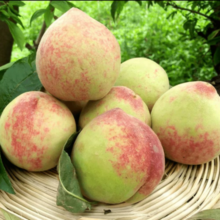 「小哥助农」湖南农家水蜜桃 香脆甜 3斤