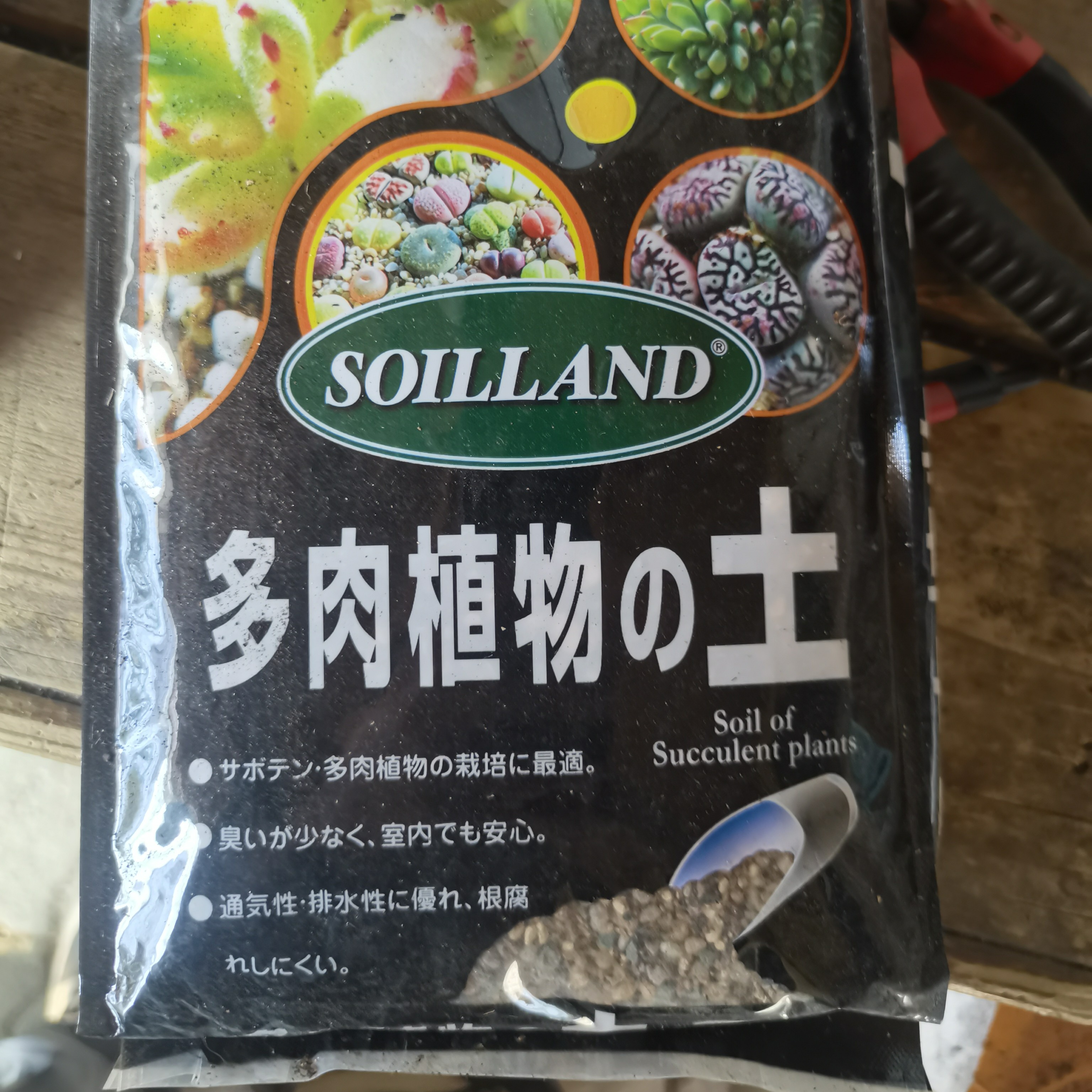 多肉植物植物多肉用料『只发新疆』多肉盆栽多肉专用室内