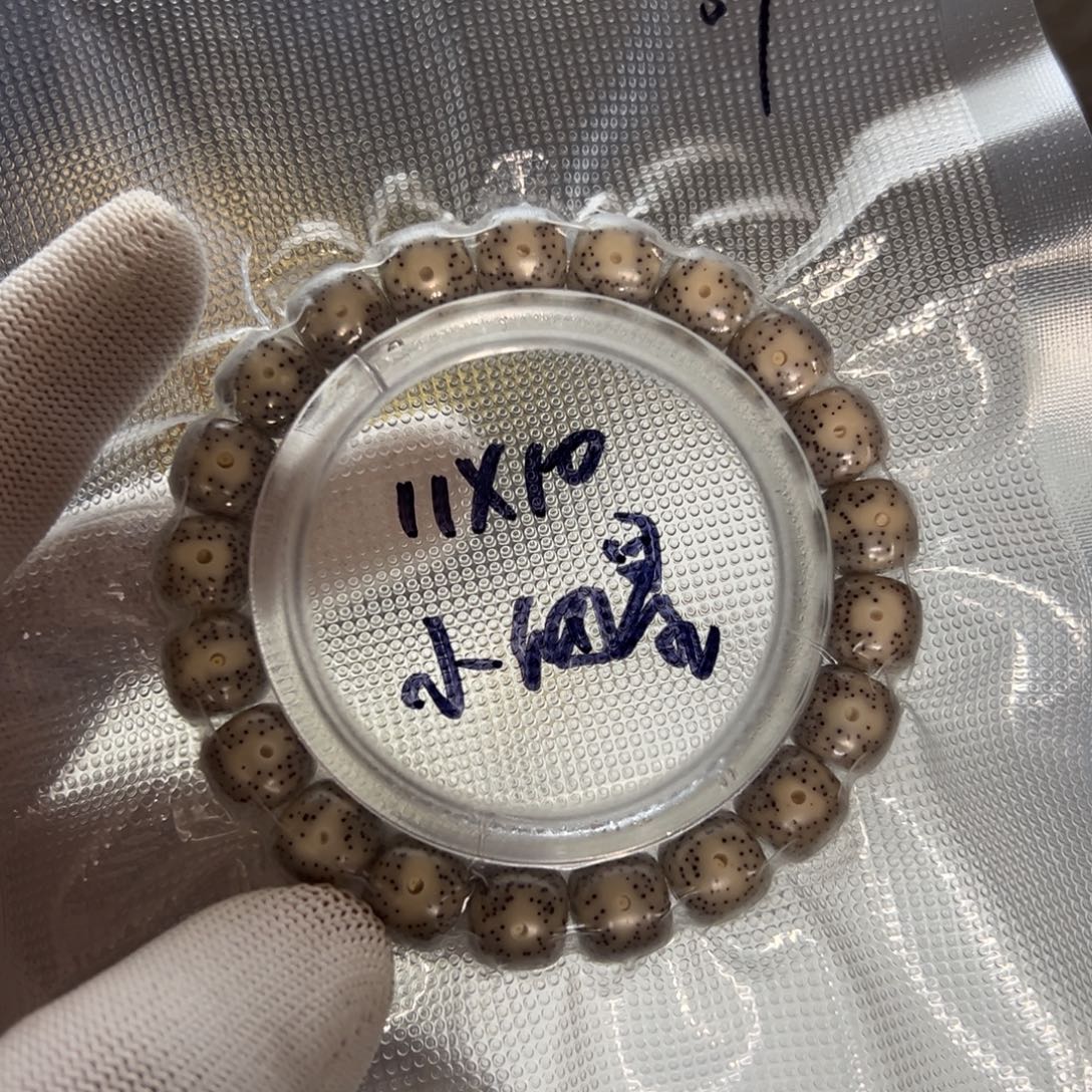 骨瓷白11/10小细星星月菩提石玉料单圈