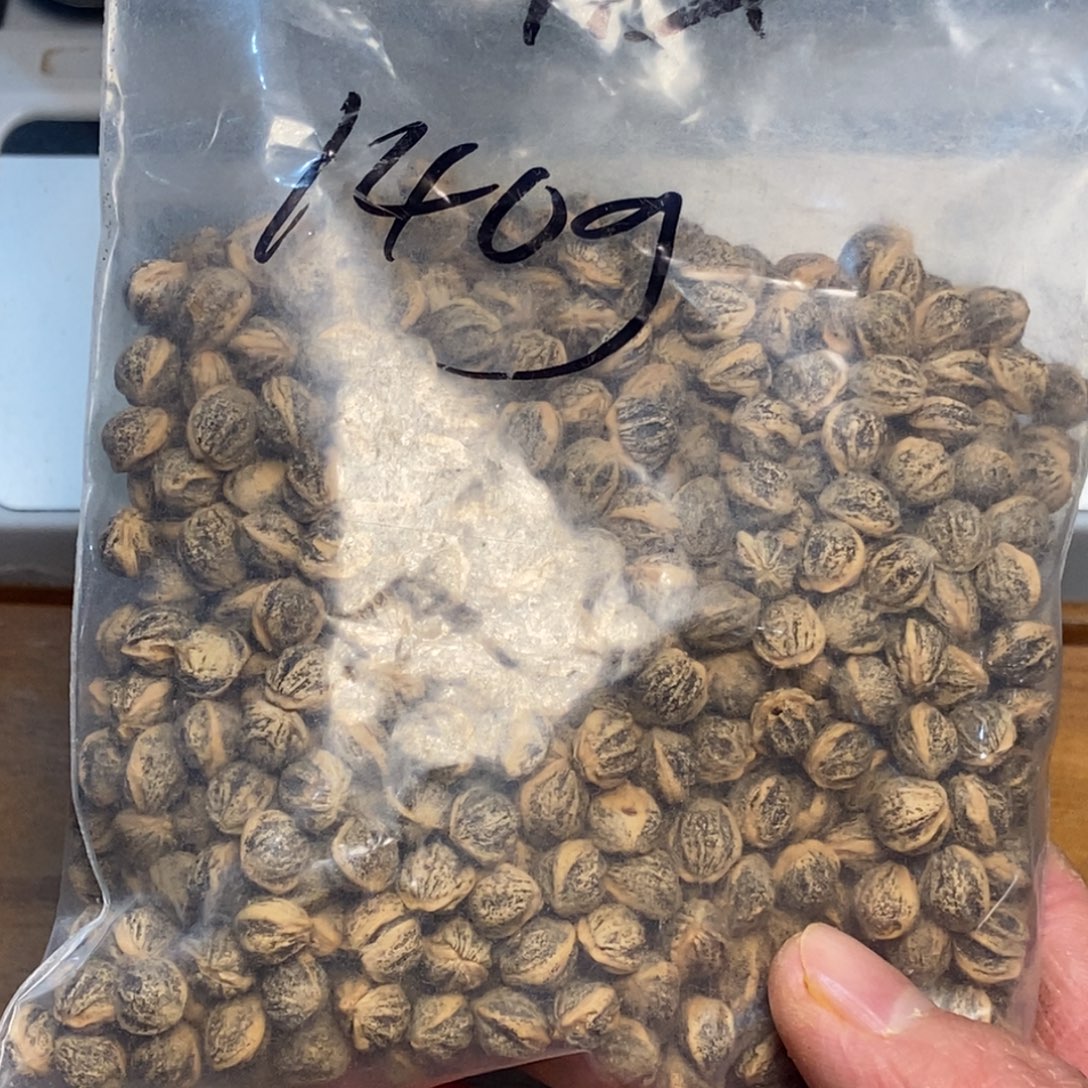 柏香籽/百香籽吊坠