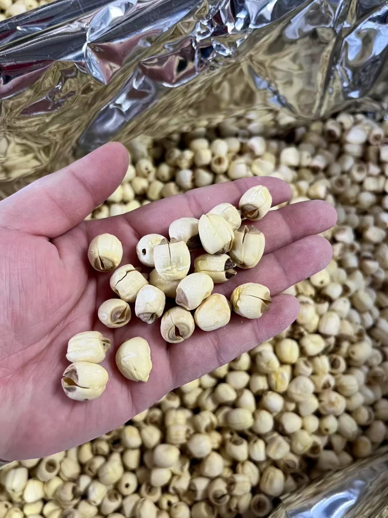 中缅边境好物2香菇