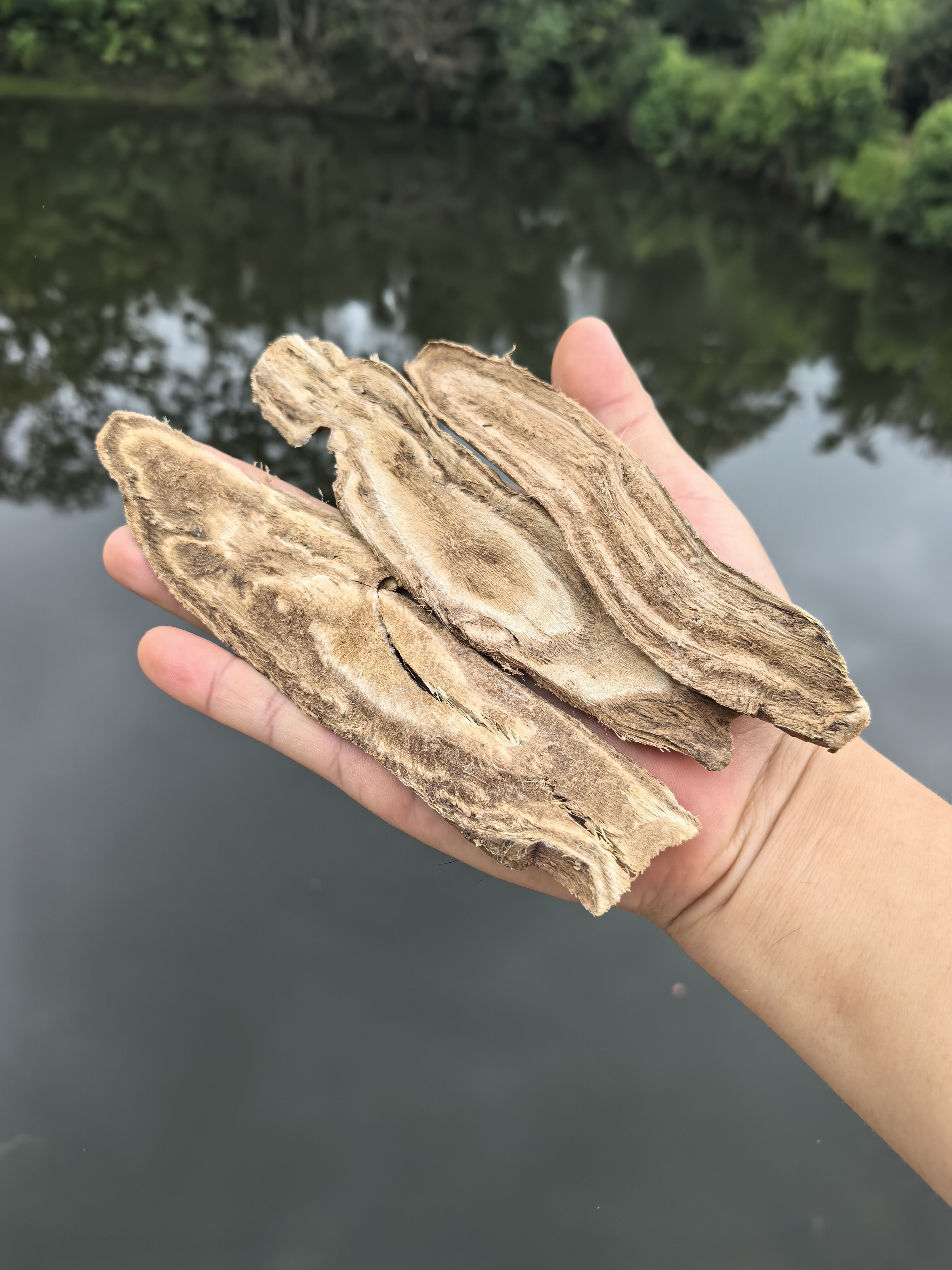 【助农行动 现称现卖】湖南30年野生葛根片葛粉