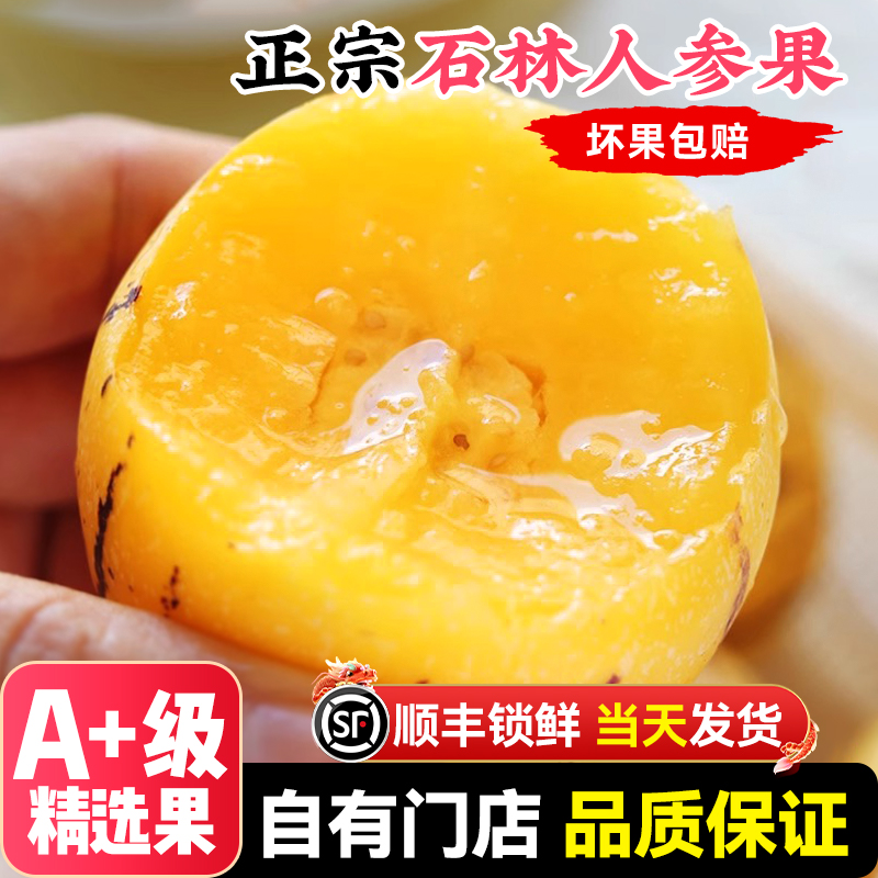 【顺丰送上门】2.4斤云南石林人参果新鲜水果圆果树上熟特大果12个江苏省