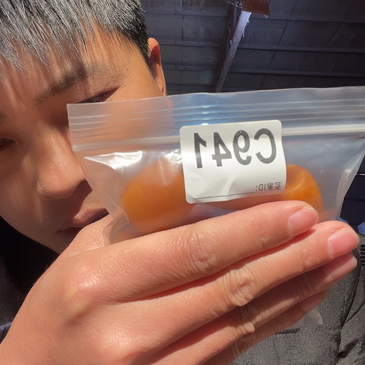 大叶紫檀（黑酸枝木类）941