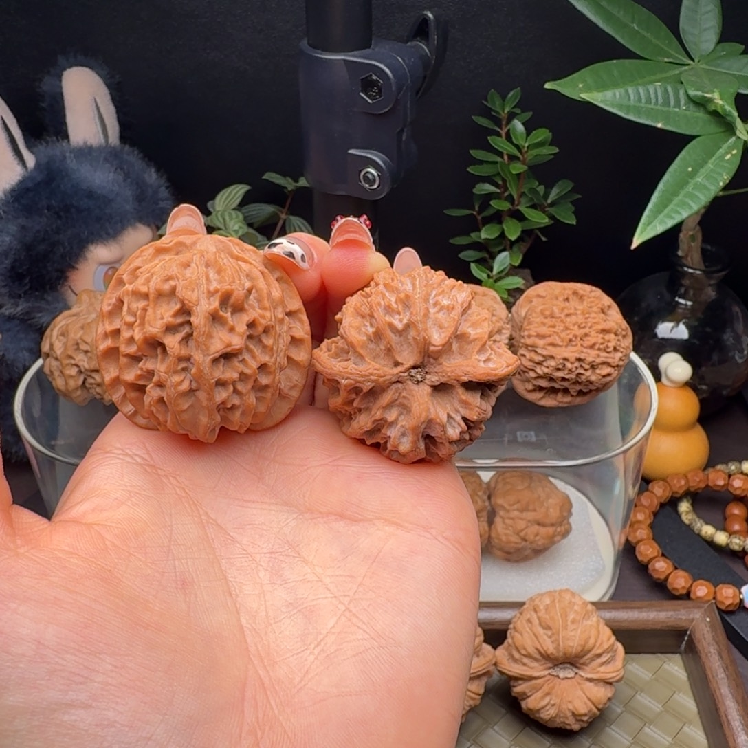 龙脊菩提把件全品苹果园40
