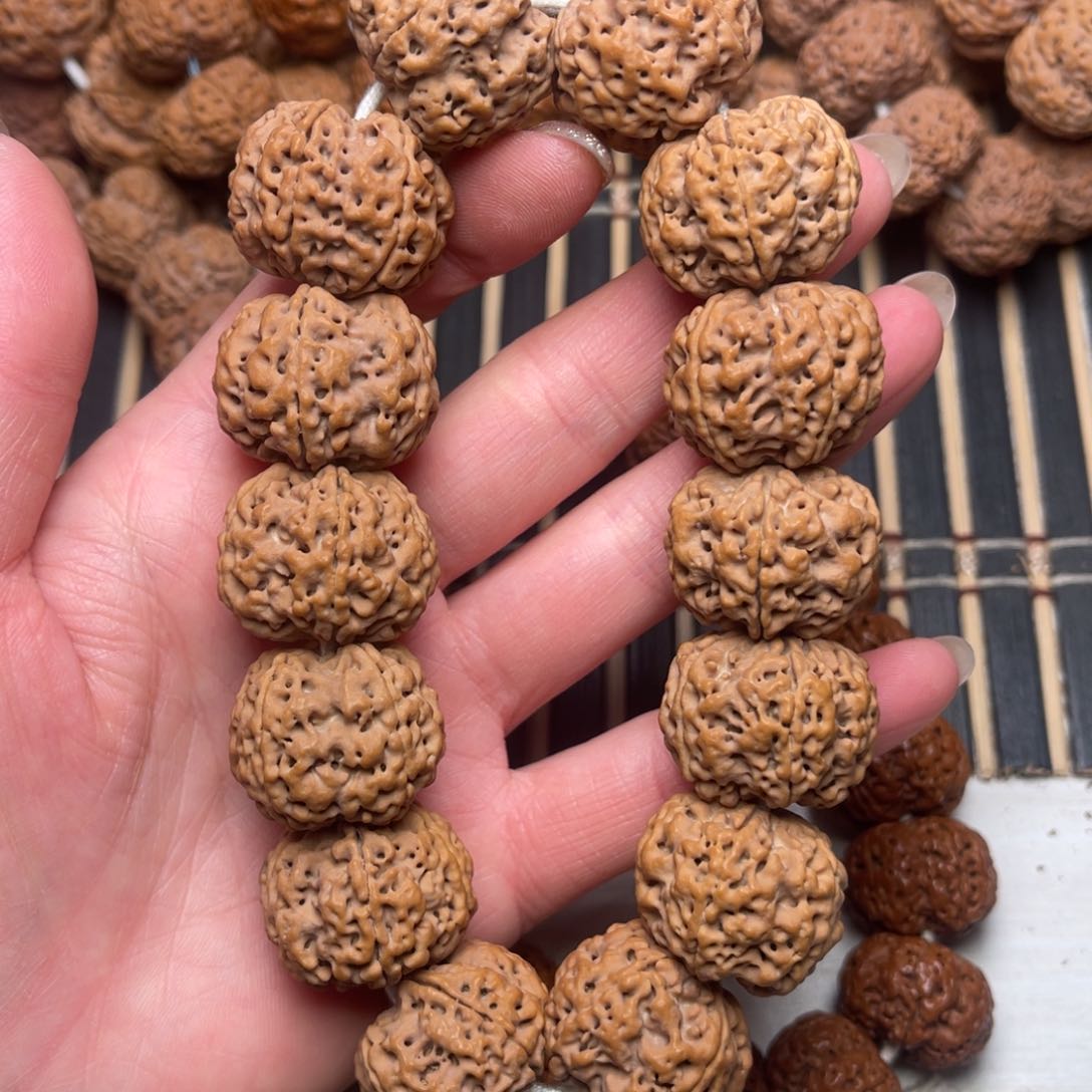 菩提尼泊尔大金刚原生态豆腐块梅花24