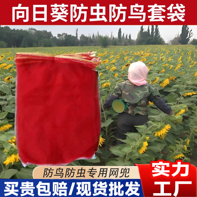 向日葵套袋向日葵防鸟专用网袋油葵网罩防虫网套保护罩尼龙纱网兜